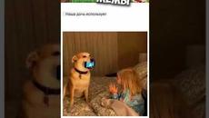 лучшие мемы дня 29 сентября 2 шортс - Videoclip.bg