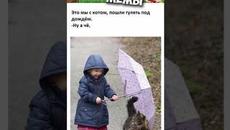 Мемы #котики - Videoclip.bg