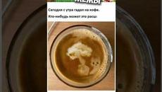 #приколы #лютыеприколы #мемы #мемы2022 #коты #кошки #котики - Videoclip.bg