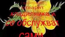 ОБИКНОВЕНИТЕ срещу ИСТИНСКИТЕ ПРИЯТЕЛИ - Videoclip.bg