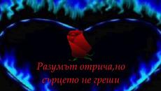 Защото те обичам - Росица Кирилова - Videoclip.bg