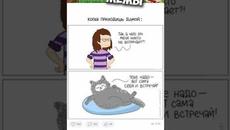 Мемы #котики и #кошки #подпишись - Videoclip.bg