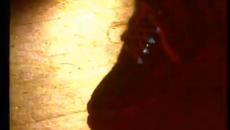 Flash And The Pan - Midnight Man-videoclip - Videoclip.bg