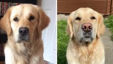 60 примеров силы времени - Videoclip.bg