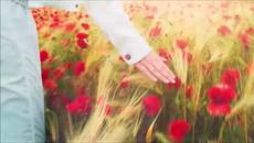 Years & Years Take Shelter - Правен единствено за удоволствие - Videoclip.bg