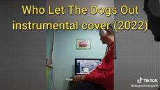 Who let the dogs out Instrumental Cover (2022) - Videoclip.bg
