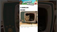 Мемы #котики и #кошки #подпишись - Videoclip.bg