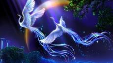 Виктор Бекк   -    Песня для души. - Videoclip.bg