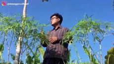 SHOLAWAT ASNAWIYAH - COVER by Dwi - Videoclip.bg