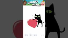 МЕМЫ ЕСТЬ МЕМЫ #приколы #юмор #лютыеприколы #коты #кошки #мемы #мем #котики #shorts #подпишись - Videoclip.bg