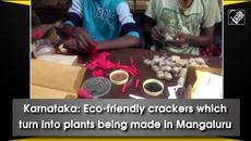 Karnataka: Eco-friendly crackers which turn into plants being made in Mangaluru - Videoclip.bg