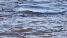 Έλλη Κοκκίνου - Το Χαμόγελό Σου - усмивката ти - Videoclip.bg