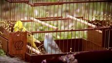 Хюрем и Сюлейман прекарват времето си |  Великолепният век - Videoclip.bg