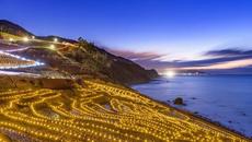 Светещ ориз В Япония с 2800 LED лампи в полето привличат туристи с блестящи светлини! - Videoclip.bg