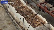 80% от оранжериите в България не засадиха реколта заради скъпата енергия - Videoclip.bg