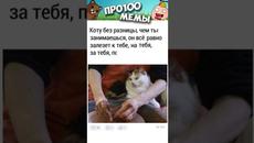 Мемы 2022 #мемы - Videoclip.bg