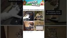 Мемы Просто Мемы - Videoclip.bg