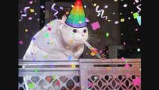 Happy hardcore-Til Morning Turns to Day - Videoclip.bg