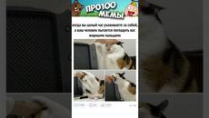 Мемы Просто Мемы - Videoclip.bg