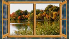 Осень за окном. Красивая осенняя мелодия. - Videoclip.bg