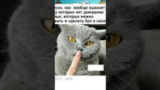 Мемы Просто Мемы #котики и #кошки #коты #подпишись - Videoclip.bg