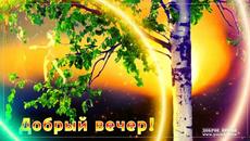 ДОБРЫЙ ВЕЧЕР!  Ринат Сафин  -  Березка - Videoclip.bg