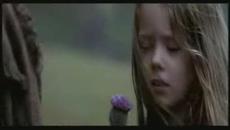Мечтая Заедно с Теб ! MercyMe - Here with me (Braveheart) - Videoclip.bg