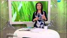 Села се придвижват с магаре заради спрян автобус - Videoclip.bg