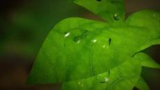 Глория - Любовен дъжд - Videoclip.bg