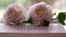 "ISKASH ILI DA"...,S AVTORSKI TEKST,NA VALENTINA  ATANASOVA,,,-0898363130 - Videoclip.bg