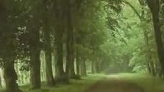 Ти Лека нощ със Слънчице ми пожела - Videoclip.bg